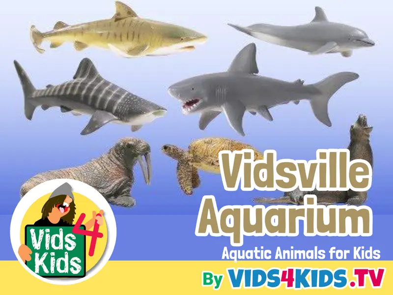 Vidsville Aquarium